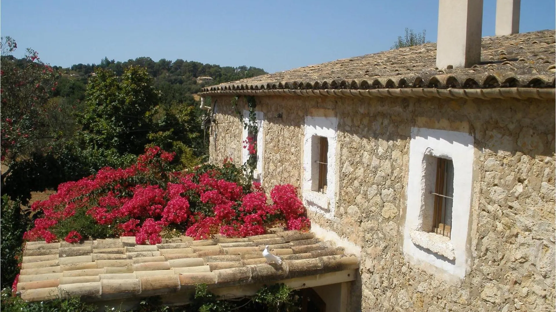 Pet Friendly Apartment In Selva With Kitchen Spain
